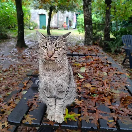 Casa Uma Gospodarstwo wiejskie *